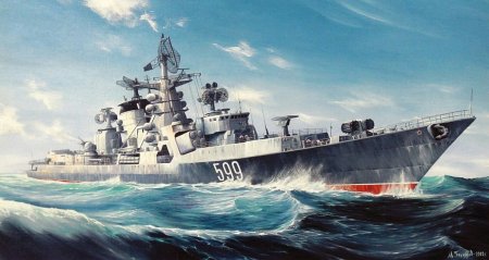 Боевые корабли ВМФ СССР