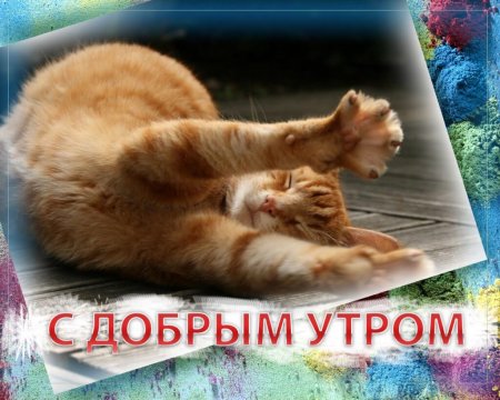 Открытки с добрым утром прикольные