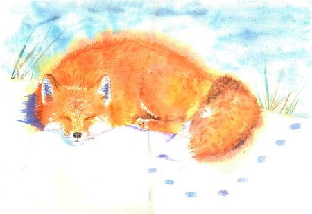 Пришвин Лисичкин хлеб иллюстрации к рассказу