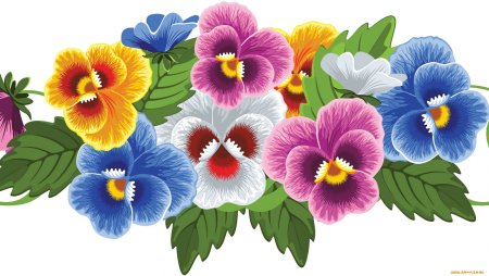 Анютины глазки вектор