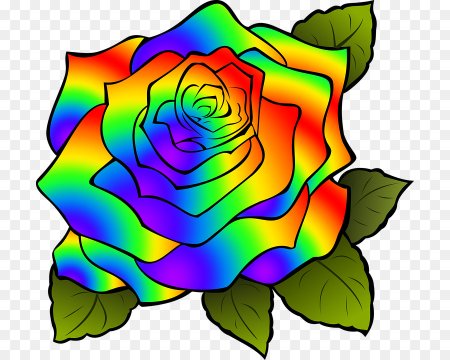 Цветы для распечатки цветные