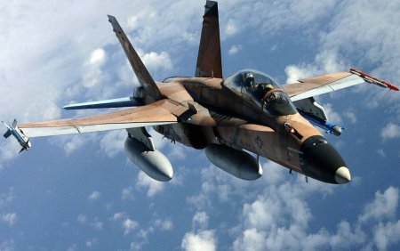 MCDONNELL Douglas f/a-18 Hornet