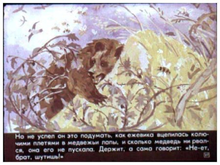 Паустовский дикий медведь
