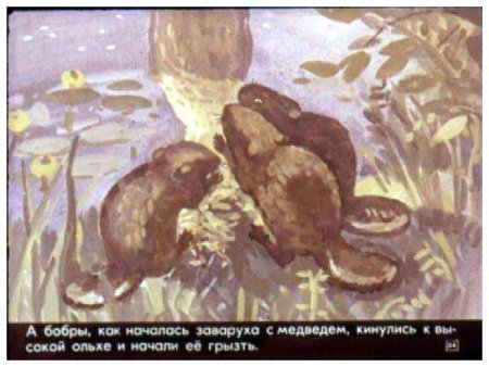 Рисунок к картине дремучий медведь