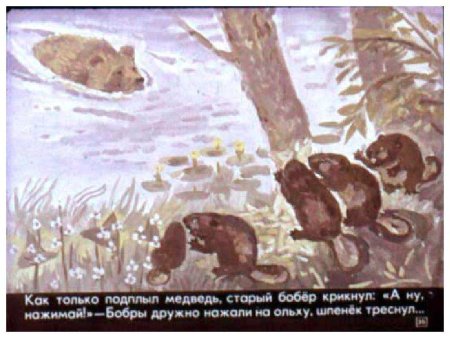 Дремучий медведь Паустовский рисунок