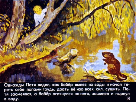 Иллюстрация к произведению Паустовского дремучий медведь