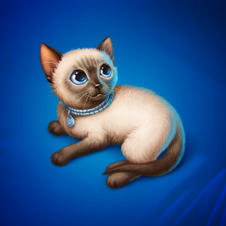 Сиамская кошка арты