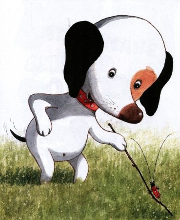 Умная собачка Соня