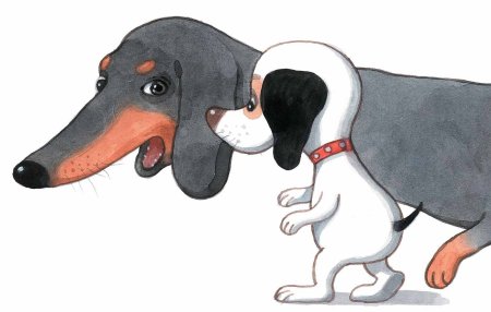 Собачка Соня Королевская дворняжка