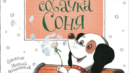 Рассказы умная и знаменитая собачка Соня