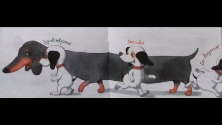 Умная собачка Соня такса