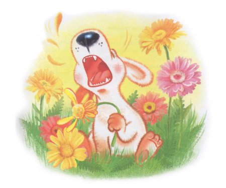 Сказка про собачку Соню