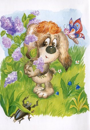 Умная собачка Соня иллюстрации