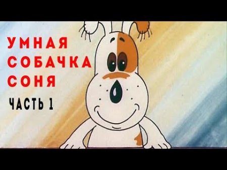 Умная собачка Соня и лужа