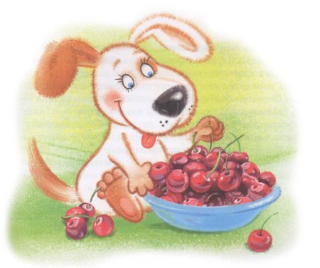 Про собачку Соню и вишневую косточку