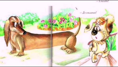 Собачка Соня и такса