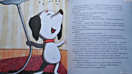 Умная и знаменитая собачка Соня