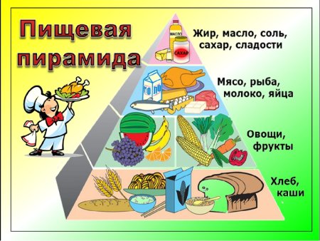 Пирамида здорового питания для детей школьного возраста