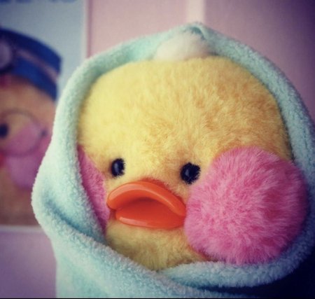 Утенок с щечками