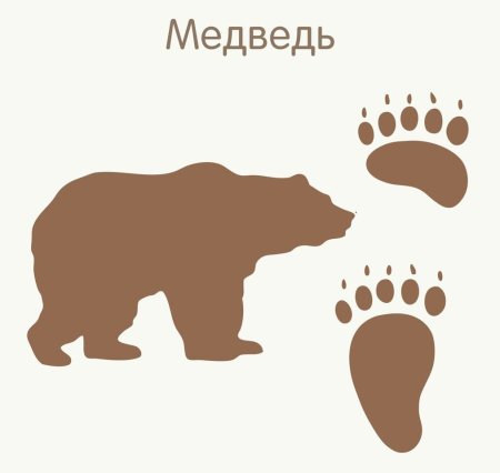 Следы диких животных