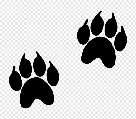 Следы животных