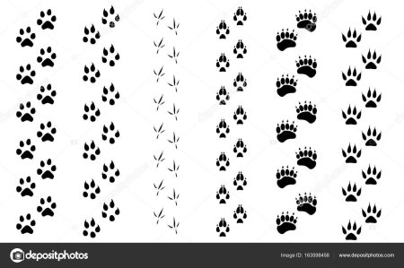 Цепочка следов животных