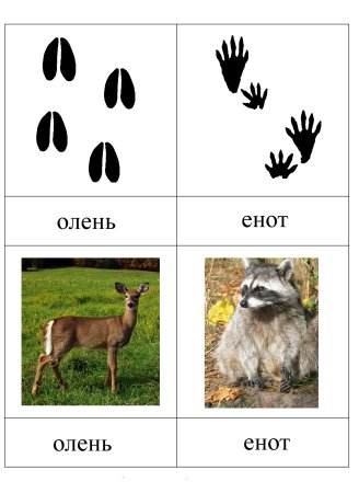 Следы диких животных