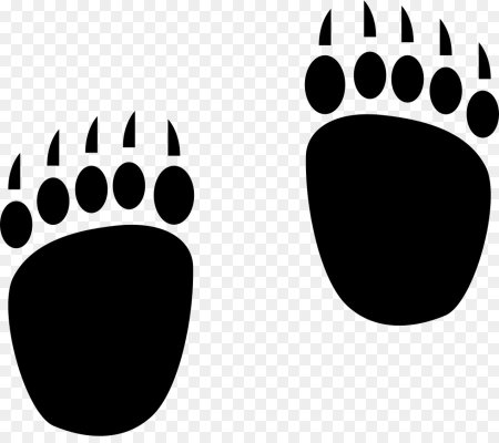 Следы медведя