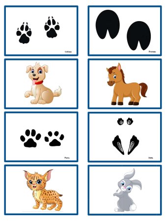 Игры для детей где чьи следы