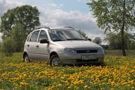 Калина универсал 2010г модель