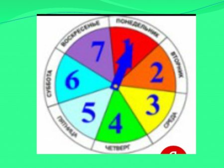 Круг с днями недели для детей