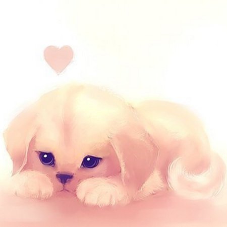 Очень милые собачки