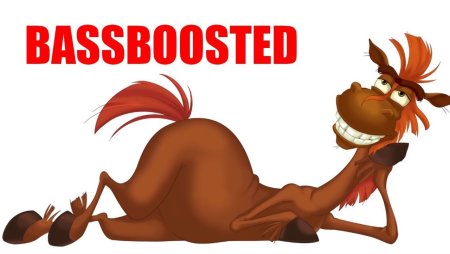 Конь Юлий на белом фоне