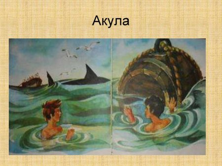 Лев Николаевич толстой рассказ акула