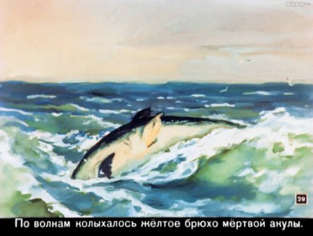 Льва Николаевича Толстого акула
