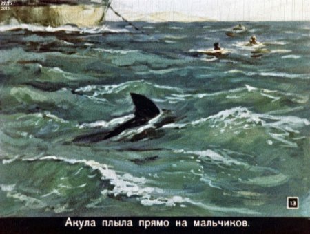Акула л.н.Толстого