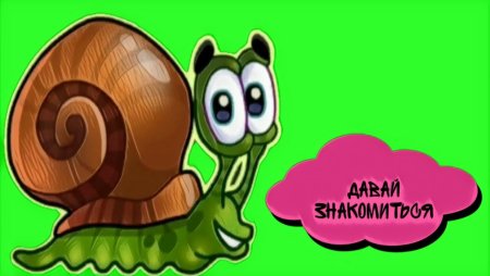 Улитка Боб кит