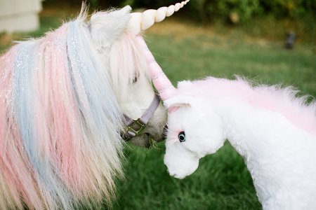 Единорог настоящий