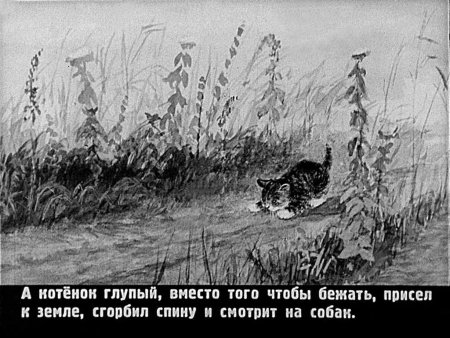 Рассказ котенок