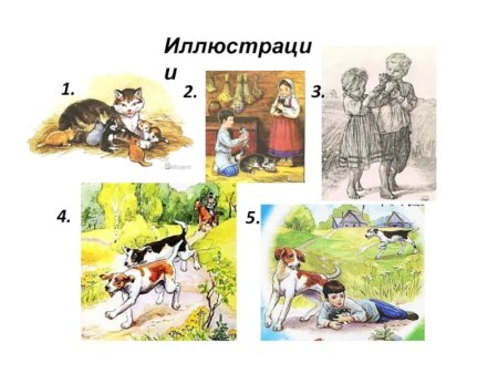 Иллюстрации к рассказу л н Толстого котенок