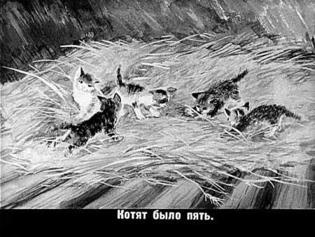 Лев толстой котенок