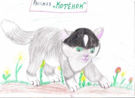 Лев Николаевич толстой котенок