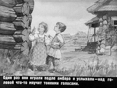 Толстой котенок