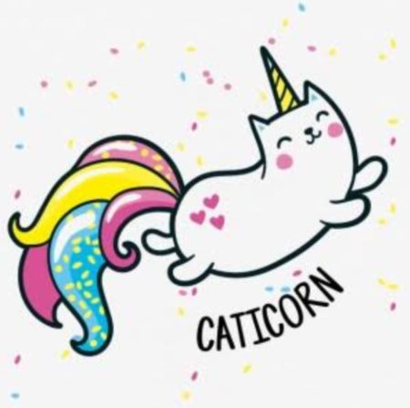 Кот Единорог