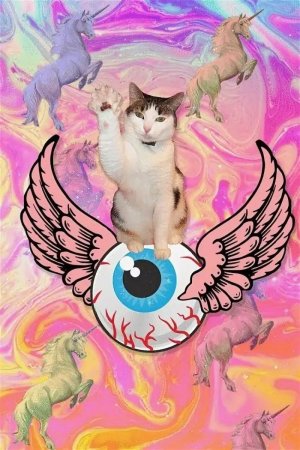 Радужные котята Единороги