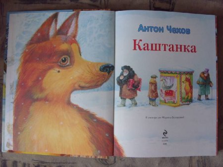 Каштанки из книги