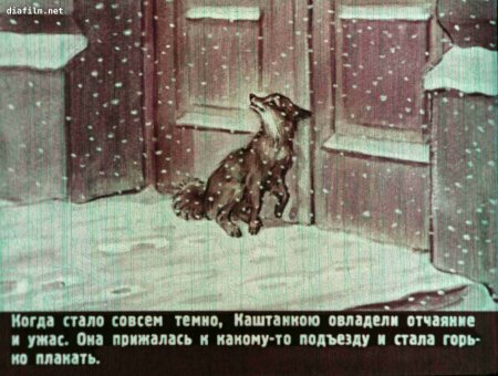 Каштанка и незнакомец