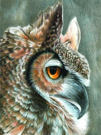 Реалистичные рисунки животных