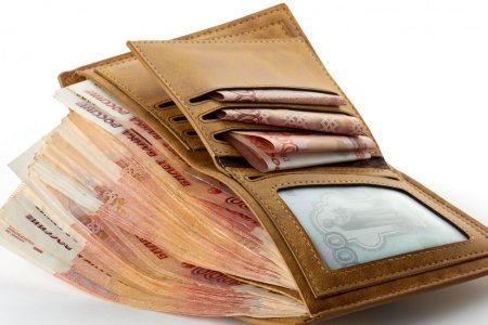 Портмоне с деньгами