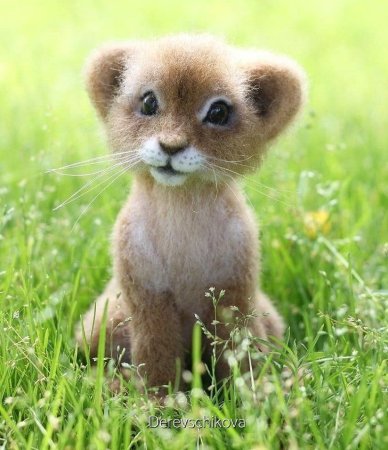 Милые животные